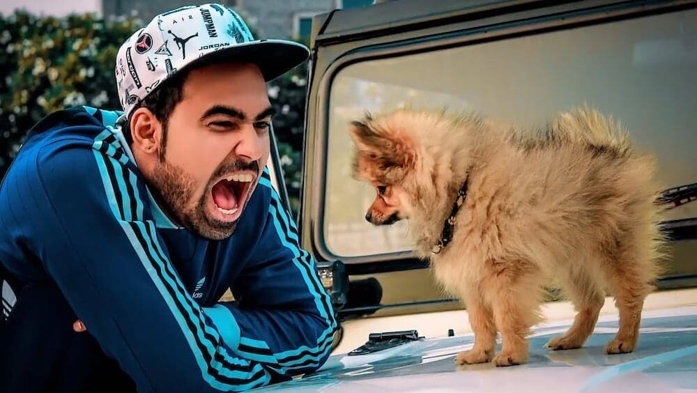 ユーチューバー 犬 インド 風船