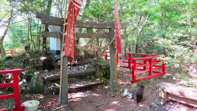 猫神社(美興利大明神)に関連した画像-01