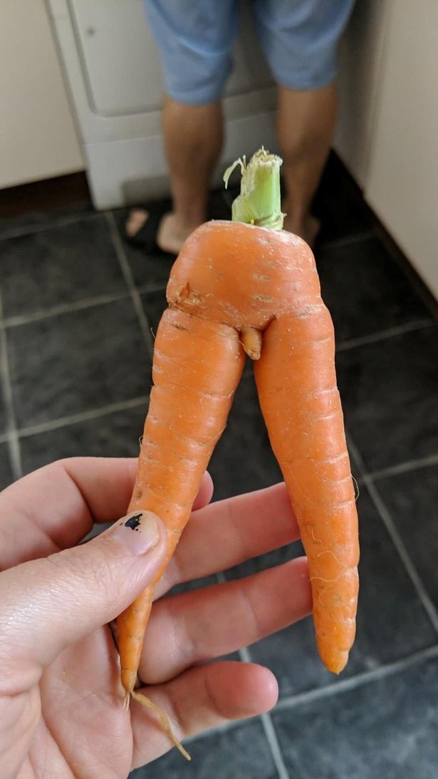 ニンジン 男 下半身に関連した画像-03