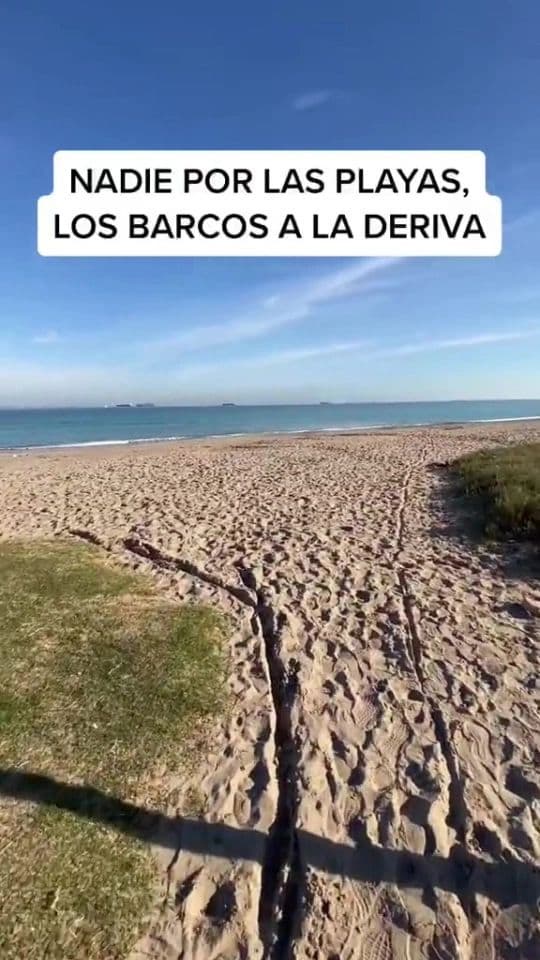 タイムトラベル タイムスリップ 時間旅行 スペイン unicosobreviviente