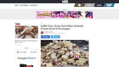 中国 小動物 段ボールに関連した画像-02