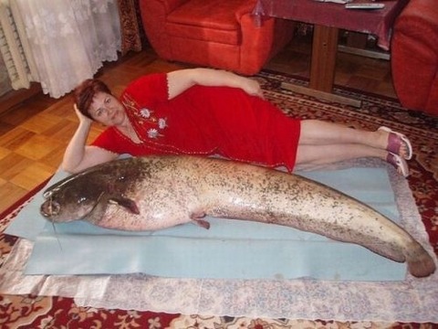 russian-dating-site-pictures-24