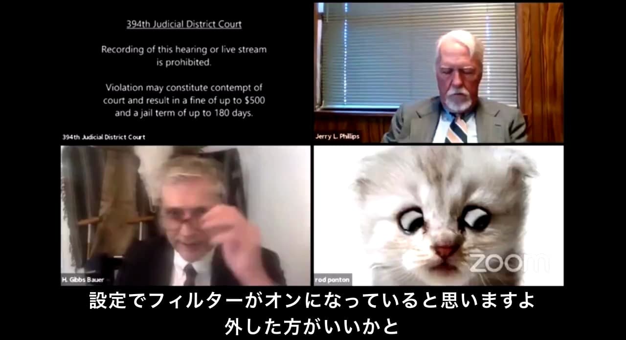 猫フィルター 裁判 アメリカ ロッド・ポントン