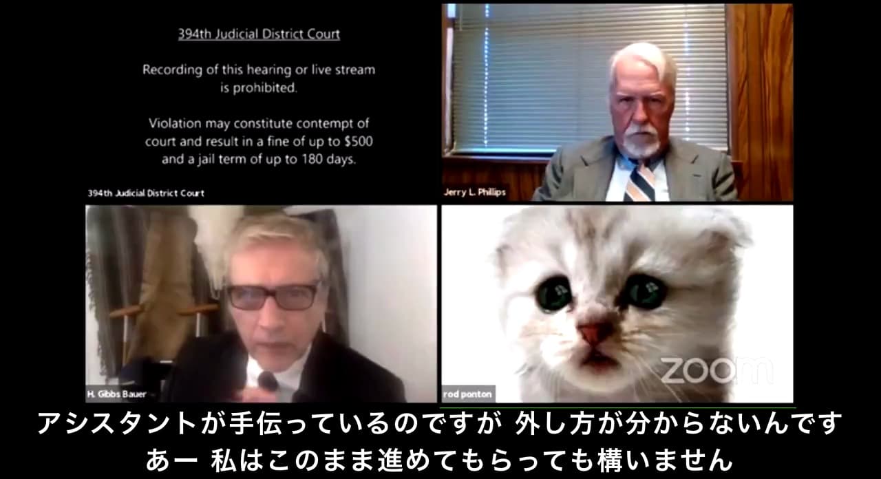 猫フィルター 裁判 アメリカ ロッド・ポントン