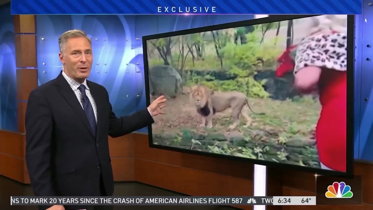 ブロンクス動物園 アメリカ ライオン