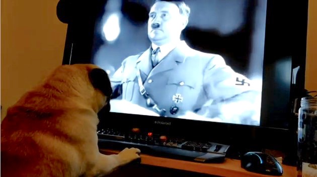 愛犬に「ナチス式敬礼」に関連した画像-01