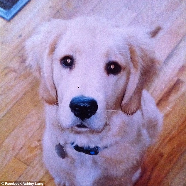 愛犬を弔うため遺灰をまくとビックリ!天に昇る一匹のワンコの姿がに関連した画像-06