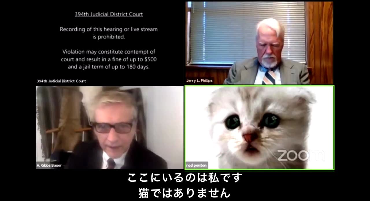 猫フィルター 裁判 アメリカ ロッド・ポントン