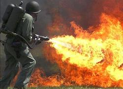 カリフォルニア州史上最大の山火事に関連した画像-03