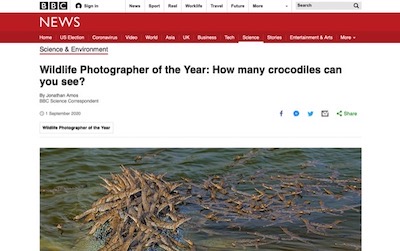 野生生物写真家コンテスト インドガビアル ワニに関連した画像-02