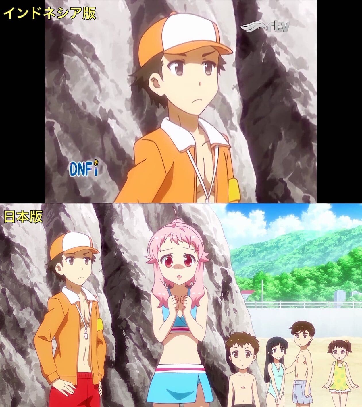 アニマエール! 規制 インドネシア