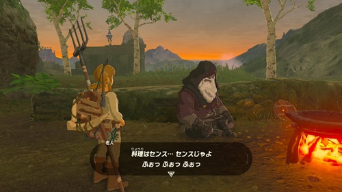 ゼルダの伝説 ブレスオブザワイルド 赤い染料