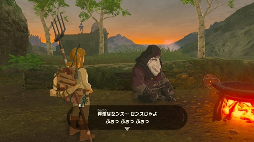 ゼルダの伝説 ブレスオブザワイルド　赤い染料