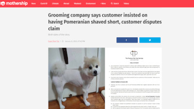 シンガポール 犬 トリミングに関連した画像-02