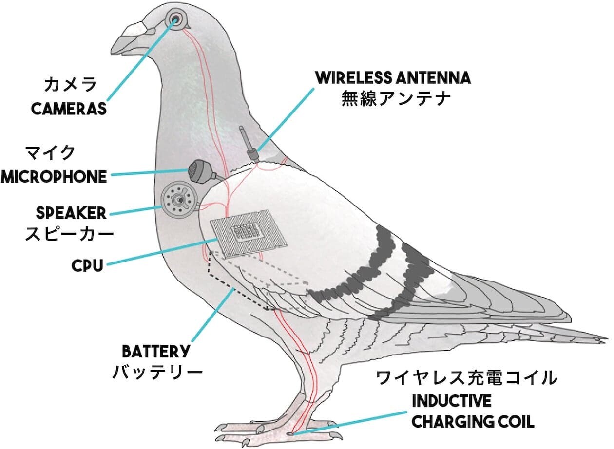 鳥は本物でない　アメリカ　ドローン　カモメ