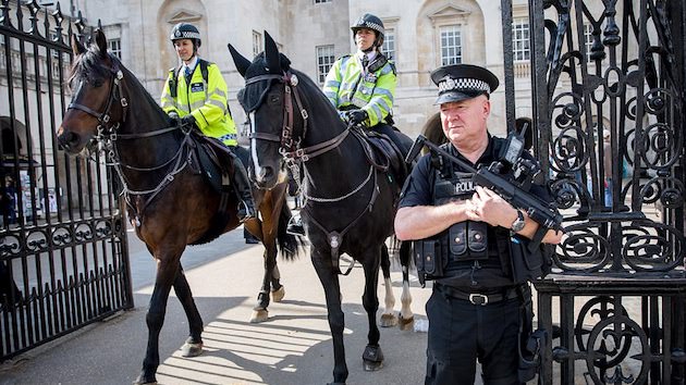 紅茶を嗜む警察馬ジェイクに関連した画像-01