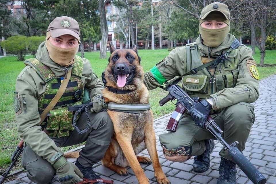 ロシア　ウクライナ　軍用犬