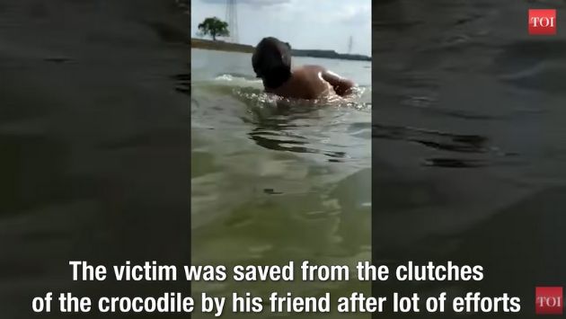 インド ワニ 湖に関連した画像-04