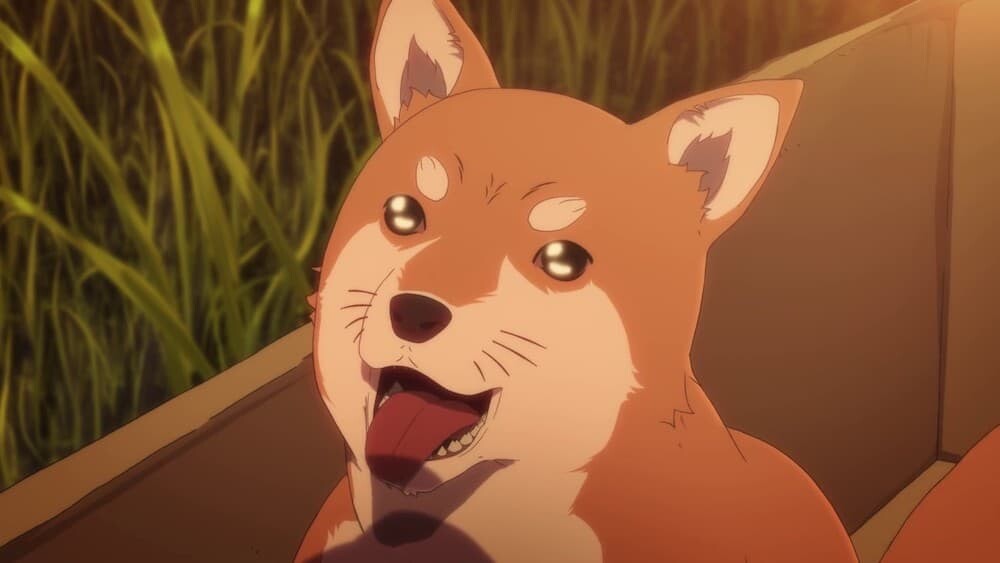 ゲイ 犬 アメリカ