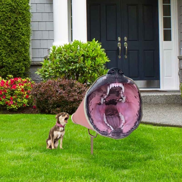 リーフブロワーの風を受け止めた犬に関連した画像-06