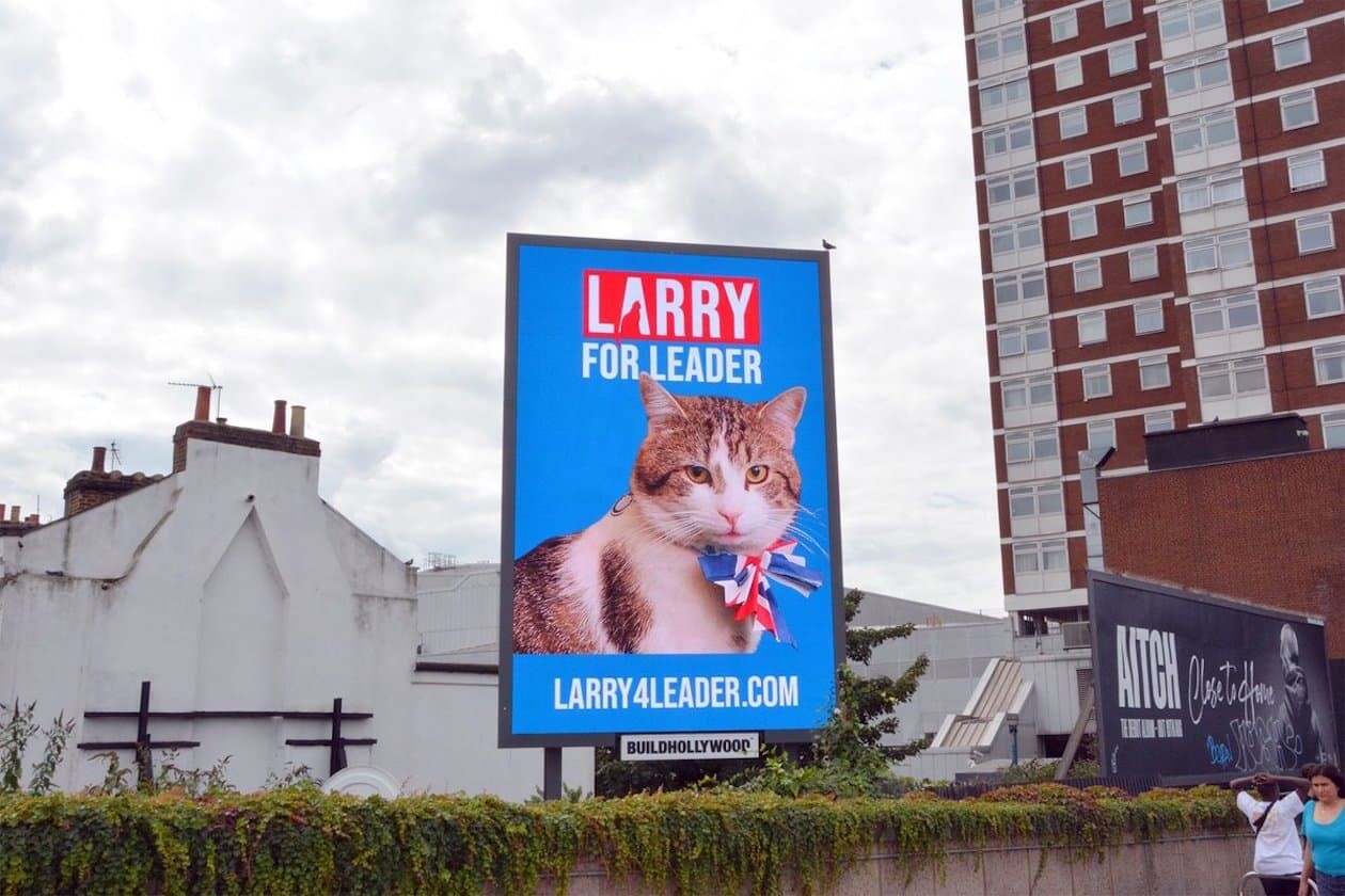 イギリス 猫 ネズミ捕獲長 ラリー
