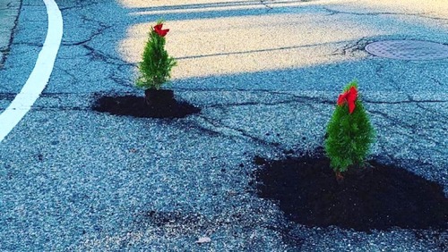 アメリカ　道路　クリスマスツリーに関連した画像-01