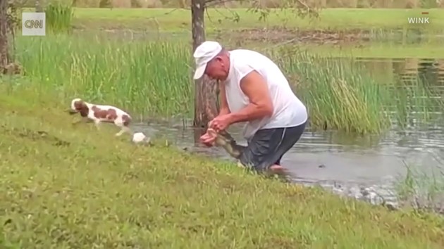 ワニ　アメリカ　救出　犬　リチャード・ウィルバンクス