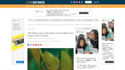 貝虫 精子に関連した画像-02