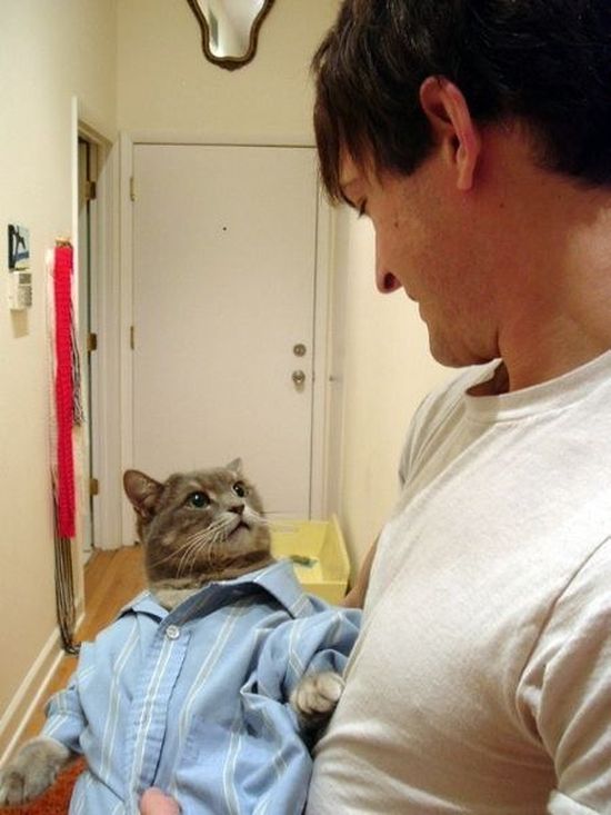 犬よりも猫の方が絶対に素晴らしいに関連した画像-12