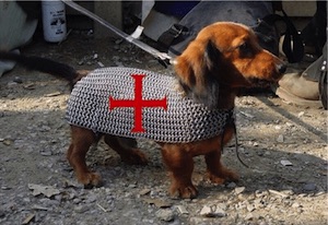 英国特殊部隊SASの軍用犬に関連した画像-02