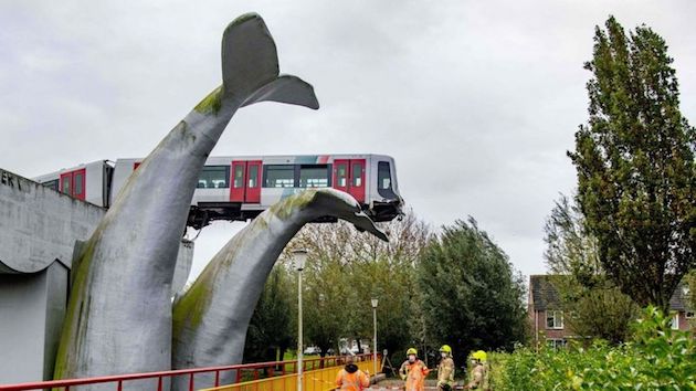 オランダ クジラ オーバーラン 地下鉄 デ・アッケルス駅