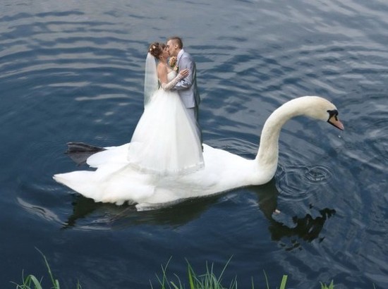 ロシアの結婚写真に関連した画像-13