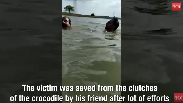 インド ワニ 湖に関連した画像-03