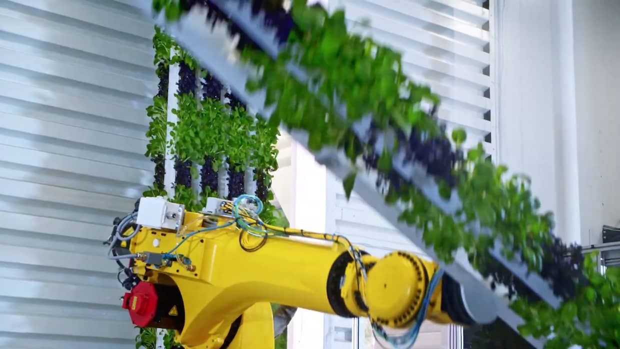 ロボット　AI　垂直農業　垂直農法　Plenty