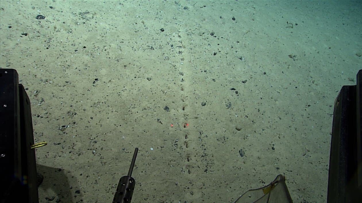 アメリカ海洋大気庁 NOAA 海底 穴
