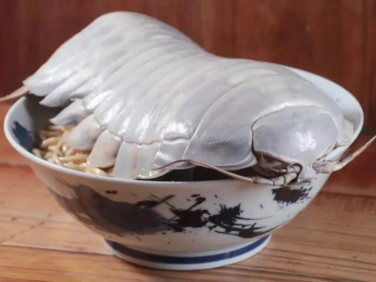 ダイオウグソクムシ ラーメン 台湾