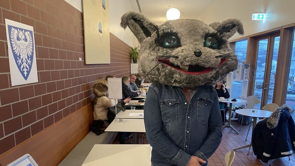 ネコ党 アイスランド 猫 Kattaframboðið