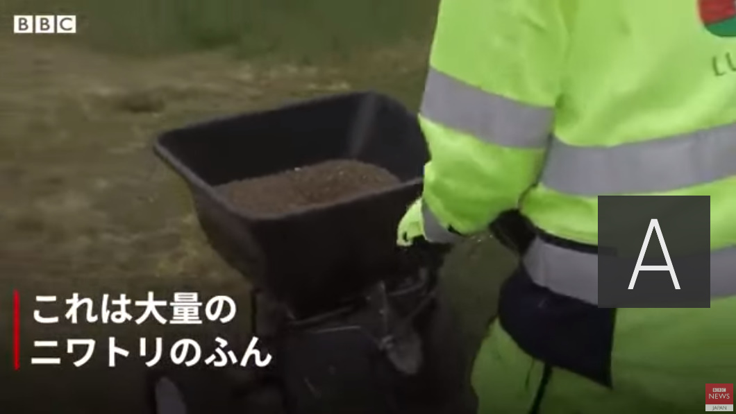 スウェーデン ニワトリ 新型コロナウイルスに関連した画像-03