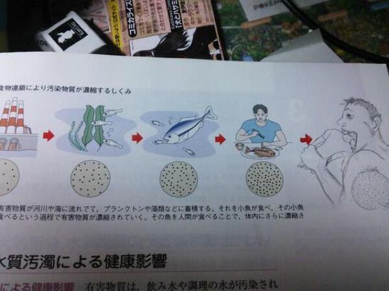 外国人「日本人がまた教科書に落書きしてるぞ」に関連した画像-18