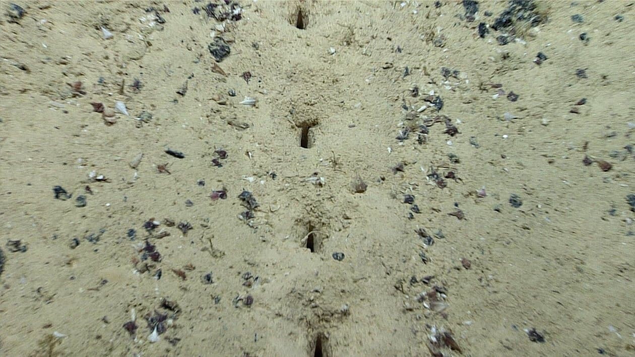 アメリカ海洋大気庁 NOAA 海底 穴
