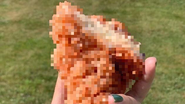 アメリカ フライドチキン 石に関連した画像-01