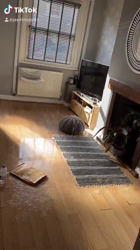 イギリス ネコ イタズラ