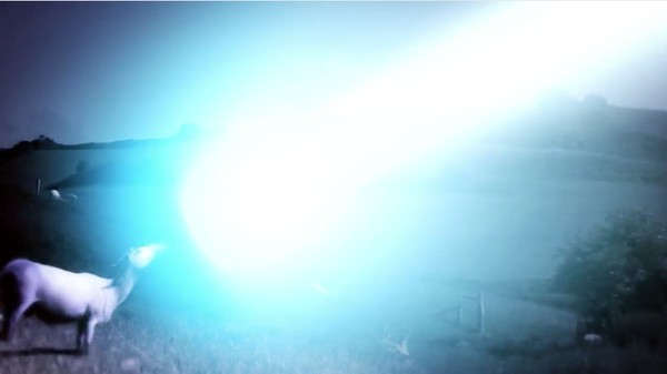『ドラゴンボール シープに関連した画像-07