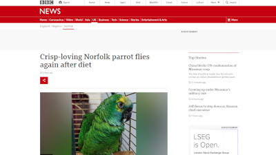 イギリス インコ デブに関連した画像-02