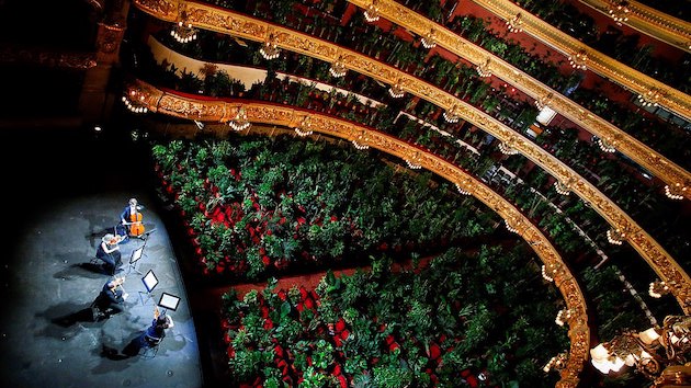 スペイン オペラ劇場 植物に関連した画像-01