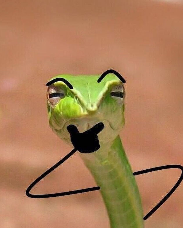 ヘビの写真に手足を描き足すに関連した画像-09