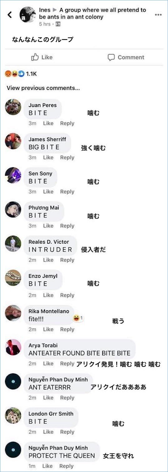 アリの巣の蟻になりきるグループに関連した画像-08