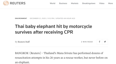 タイ　ゾウ　象　心臓マッサージ　心肺蘇生法　CPR　バイク事故