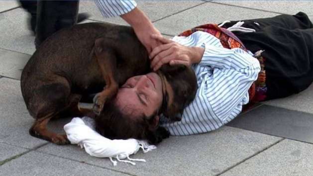 トルコ 劇 野良犬