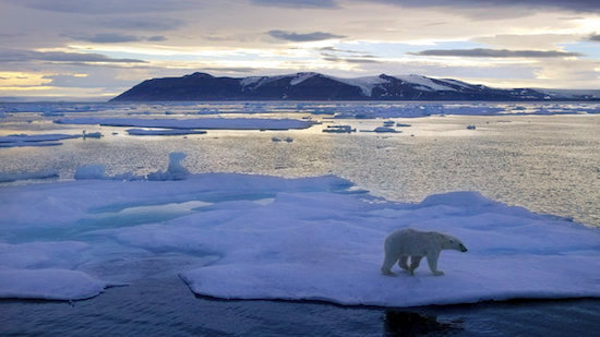 移民はホッキョググマが生息する絶海の孤島に送ろうに関連した画像-01